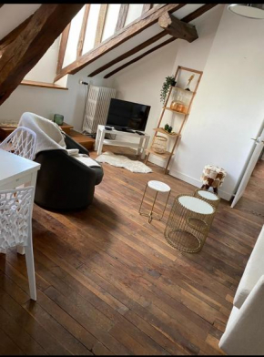 Magnifique Appartement Beaux arts